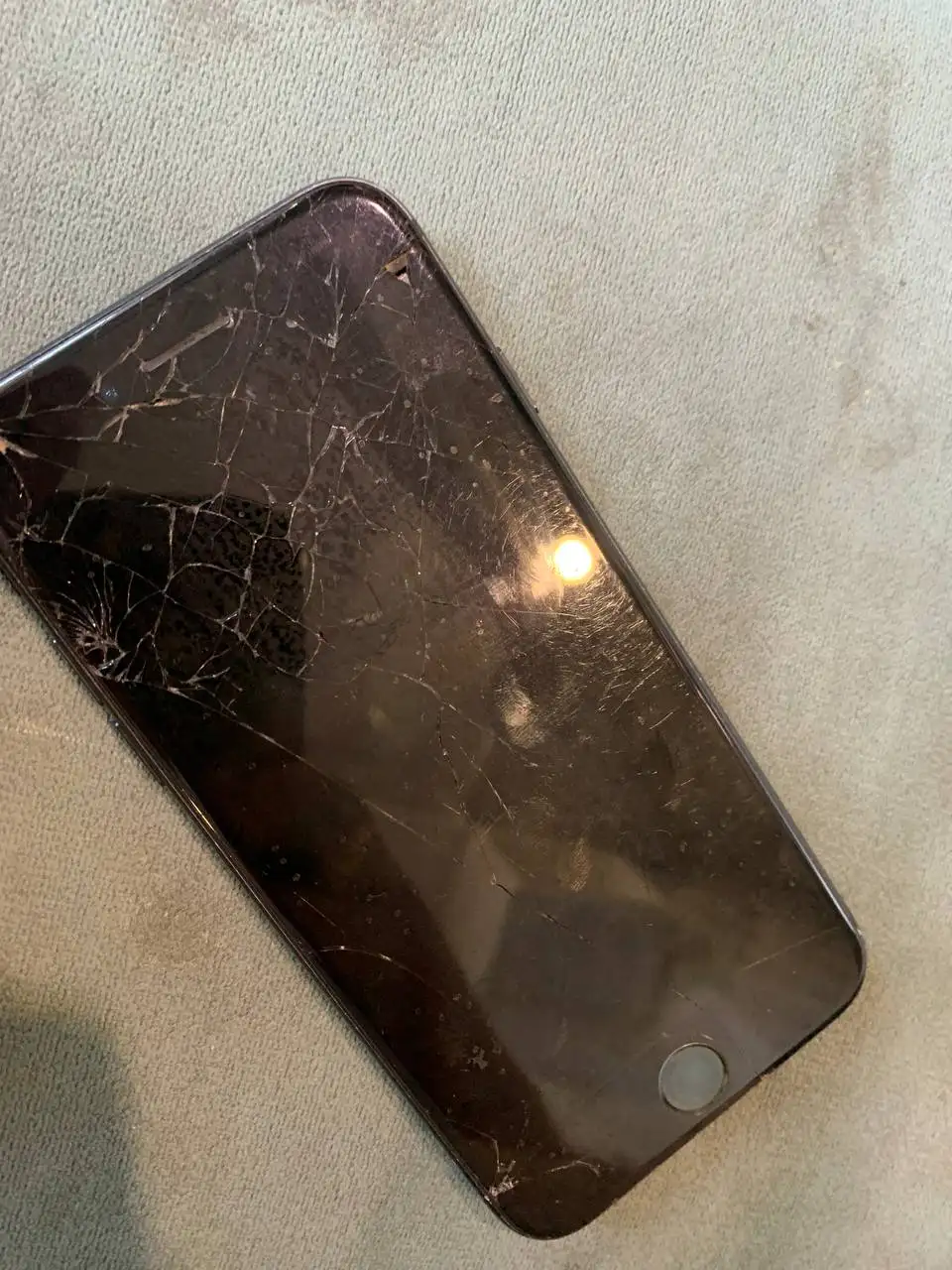 Щенки в Щелково - Щенки (Животные) в Щелково