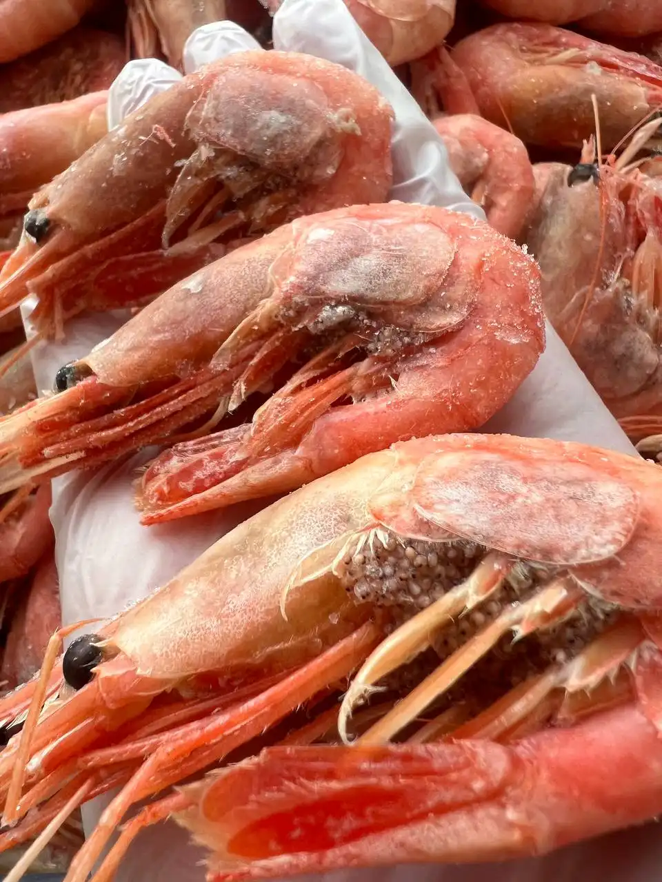 Рыба, морепродукты, эксклюзивные сыры в Мытищах