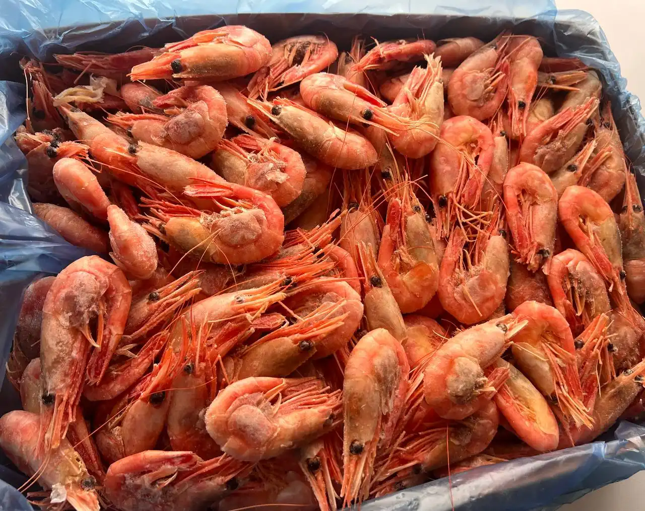 Рыба, морепродукты, эксклюзивные сыры в Мытищах