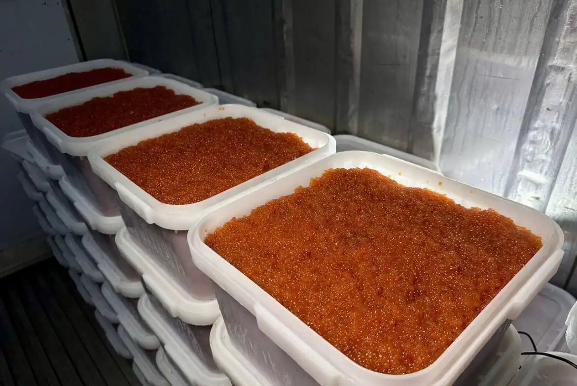 Красная Дальневосточная икра кеты и горбуши