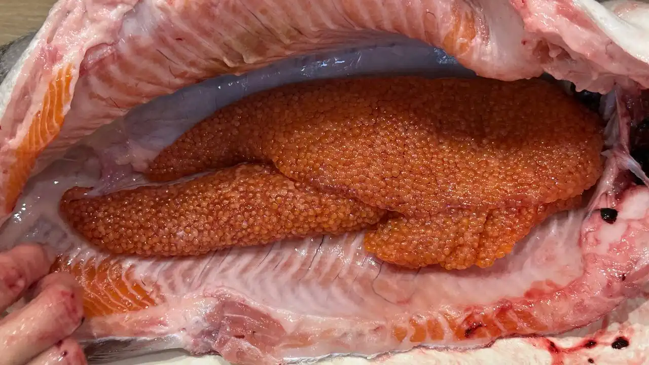 Поставка форели и свежей икры к Новому году