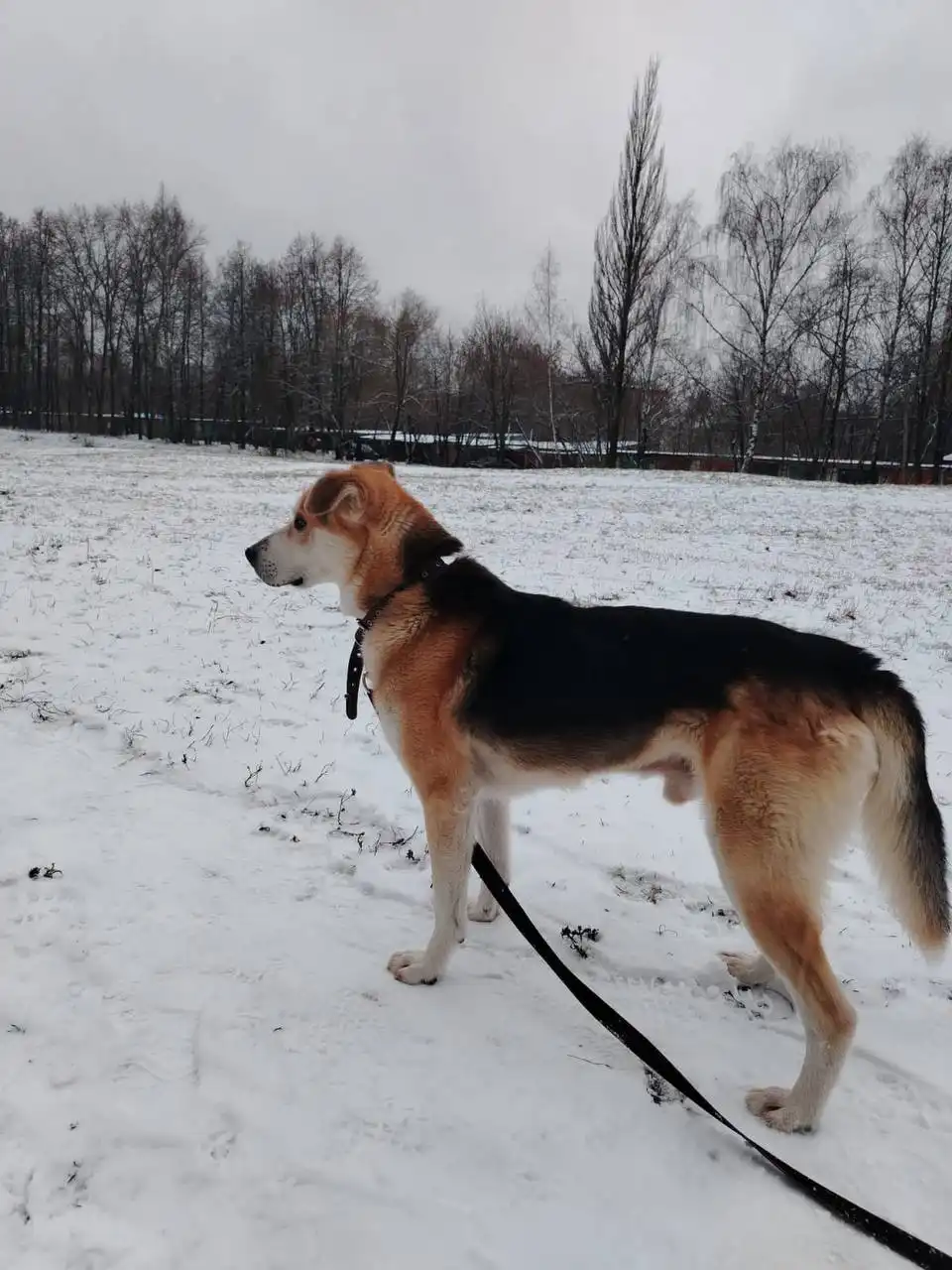 Тихон ищет семью