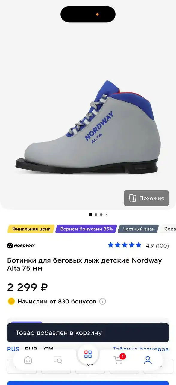 Лыжи 160 с ботинками 35 и чехлом в идеальном состоянии - Лыжи (Хобби и отдых) в Мытищи