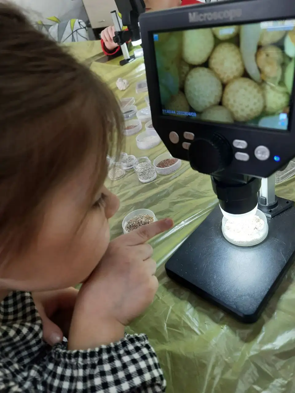 Научно-образовательный Музей песка приглашает на экскурсии - Хобби и отдых в Королев