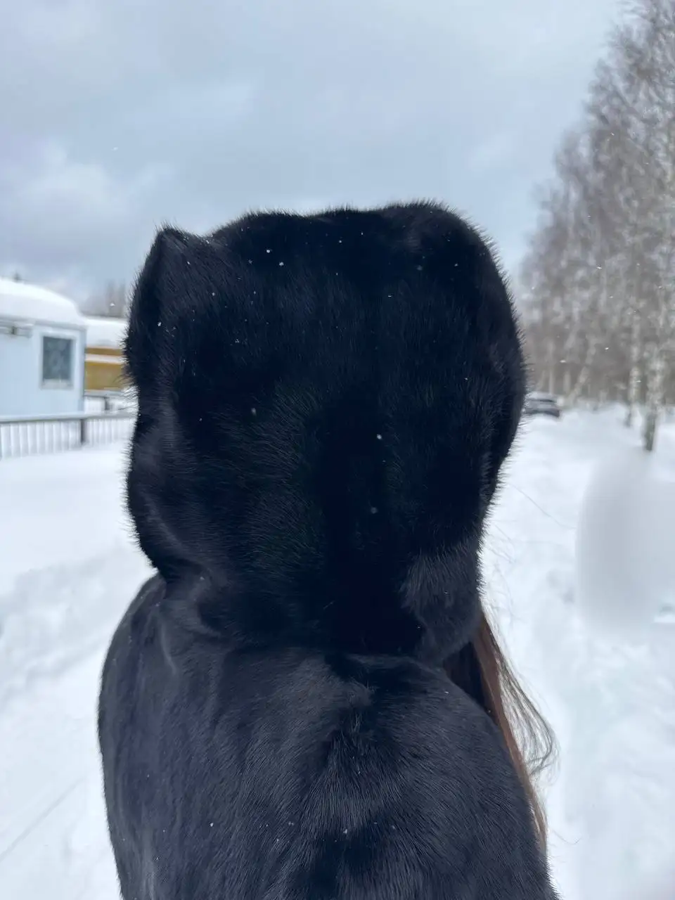 Натуральная норковая шуба размер 44-46 - Верхняя одежда (Одежда) в Мытищи