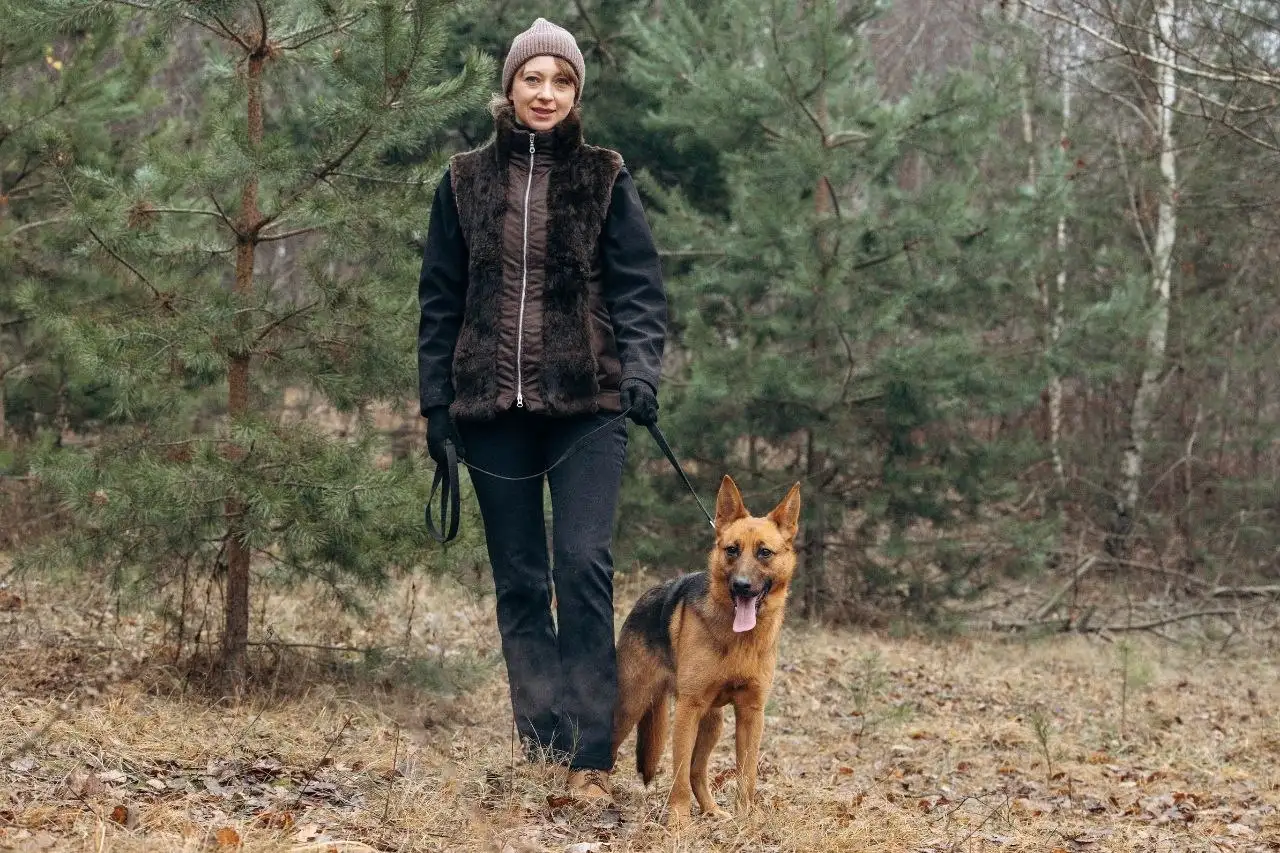 Ищем хозяев для собаки Ники из приюта - Собаки (Животные) в Мытищи
