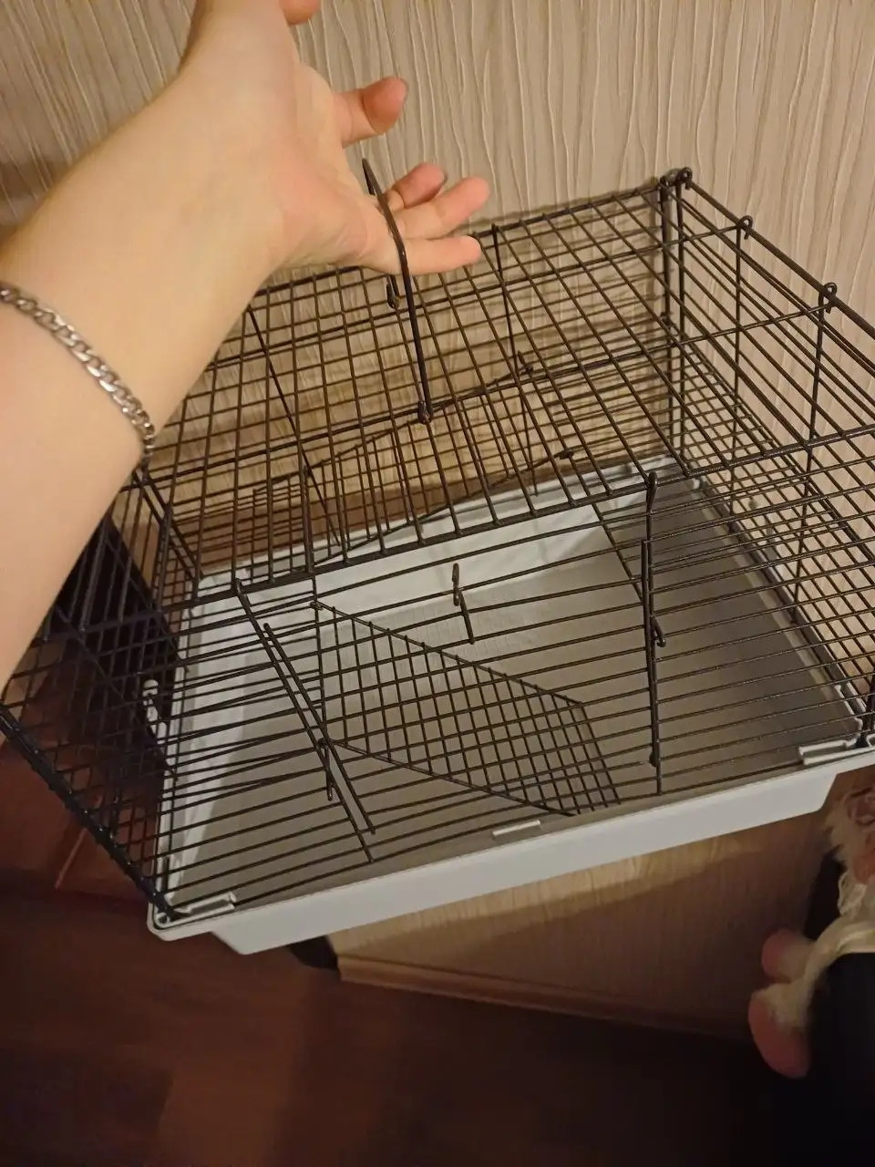 Клетка для грызунов в отличном состоянии - Товары для животных (Животные) в Мытищи