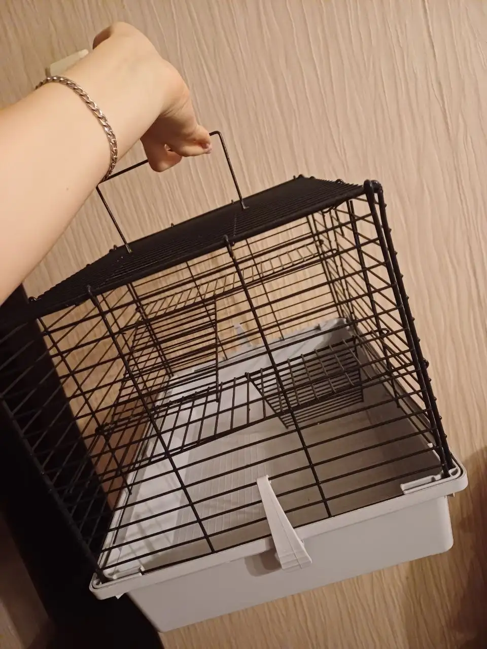 Клетка для грызунов в отличном состоянии - Товары для животных (Животные) в Мытищи