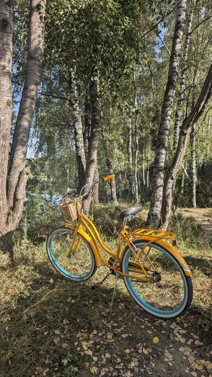 Schwinn Haywood - Велосипеды (Хобби и отдых) в Мытищи