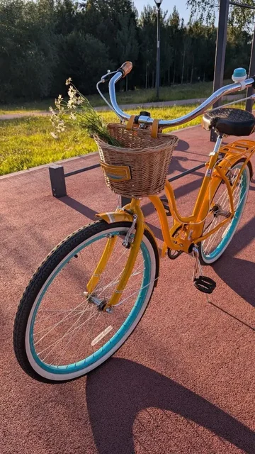 Schwinn Baywood продажа - частное объявление в Мытищи