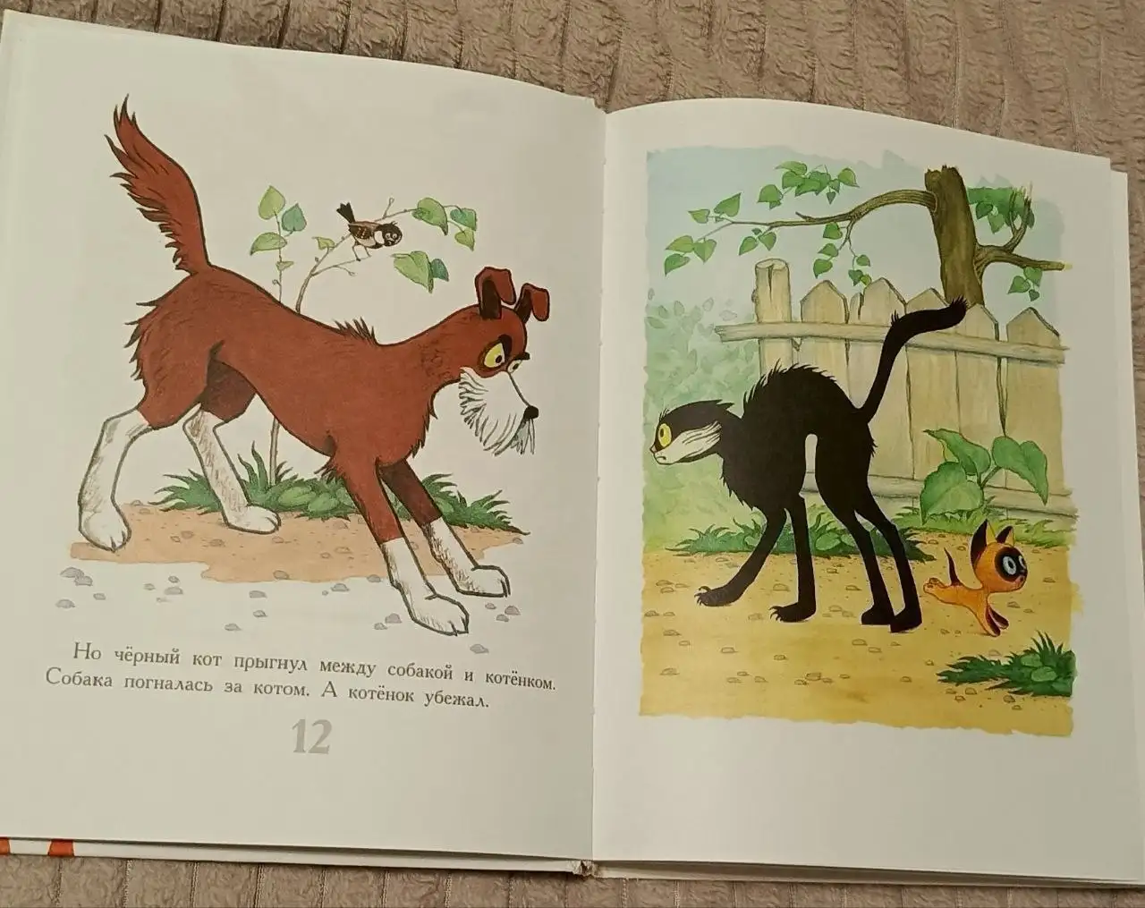 Книга Сказки на каждый день Григорий Остер - Книги (Хобби и отдых) в Мытищи