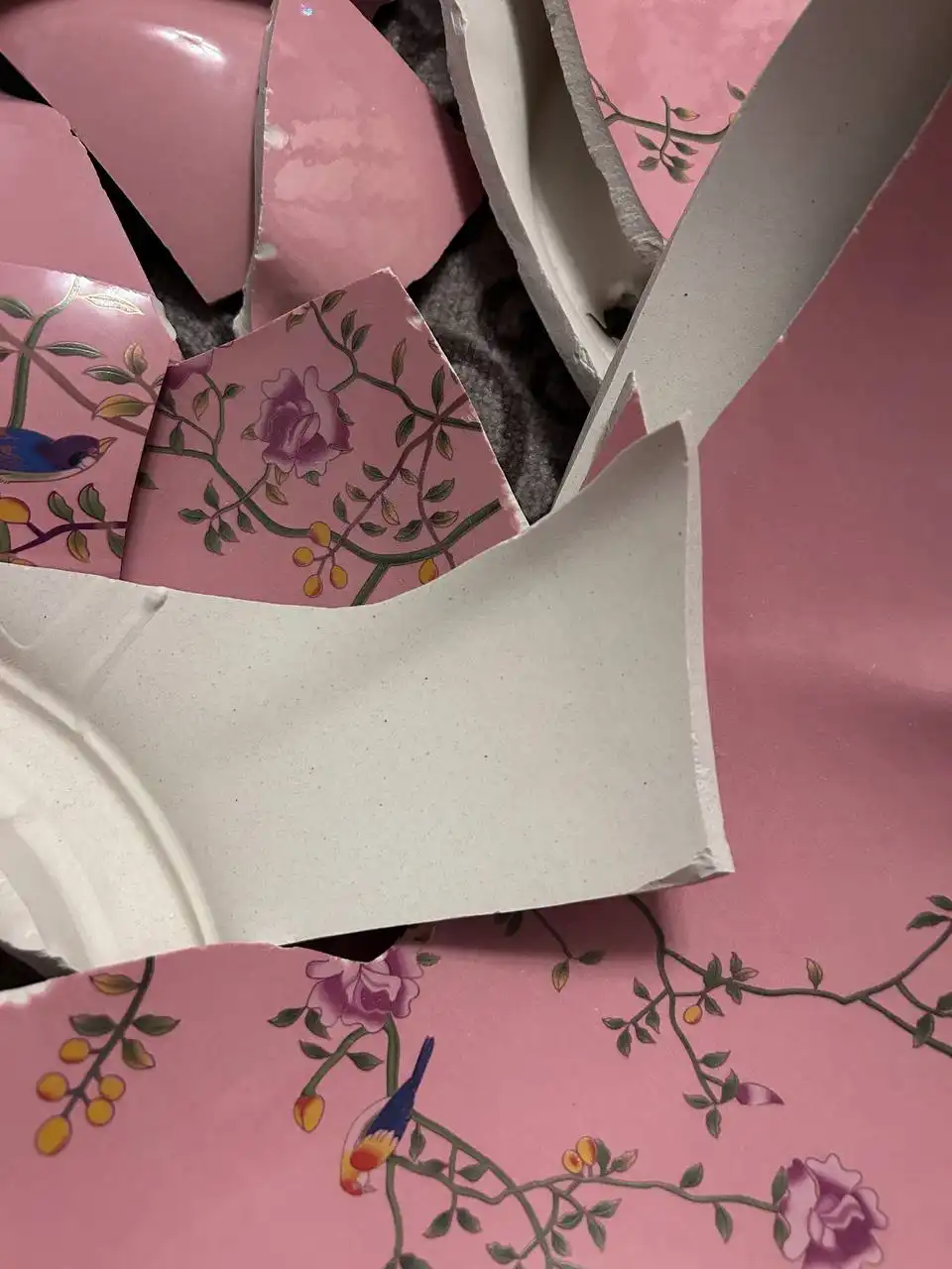 Осколки от битой раковины для творчества