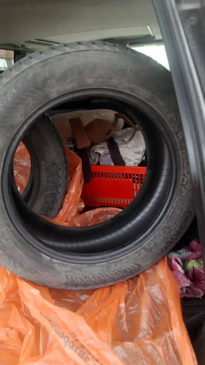 Шипованные шины Nokian Hakka 8 225/55/17