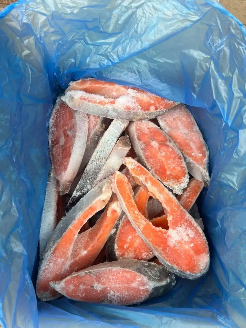 Спецпредложение на рыбу и морепродукты до 31 декабря