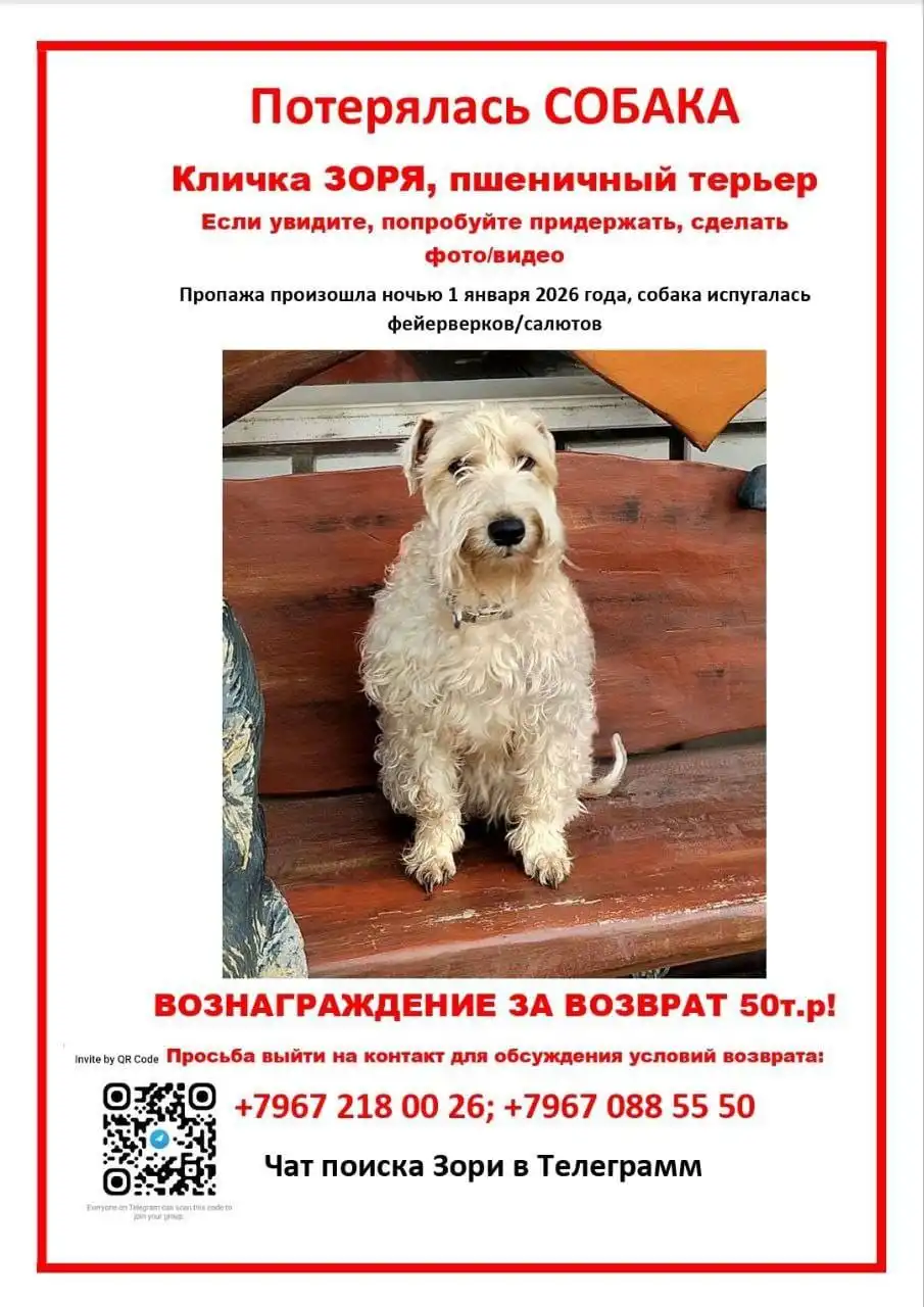 Продажа игровой приставки PlayStation 4 с играми - Игровые приставки (Электроника) в Балашиха