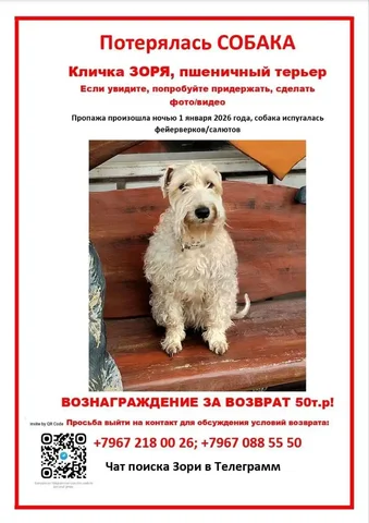 Продажа игровой приставки PlayStation 4 с играми - Робототехника в Балашиха