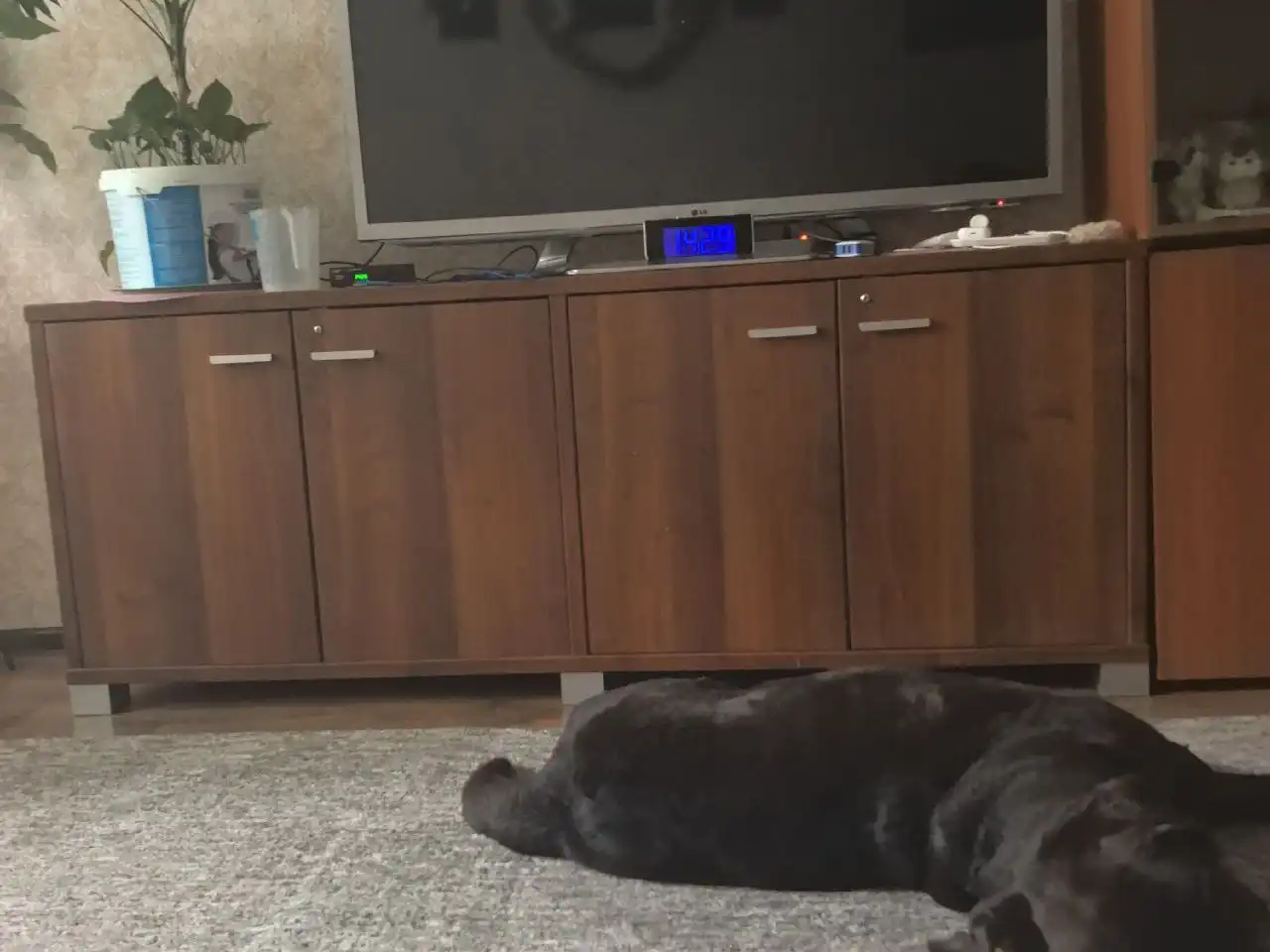 Продажа детской одежды в Балашихе - Одежда (Товары для детей) в Балашиха