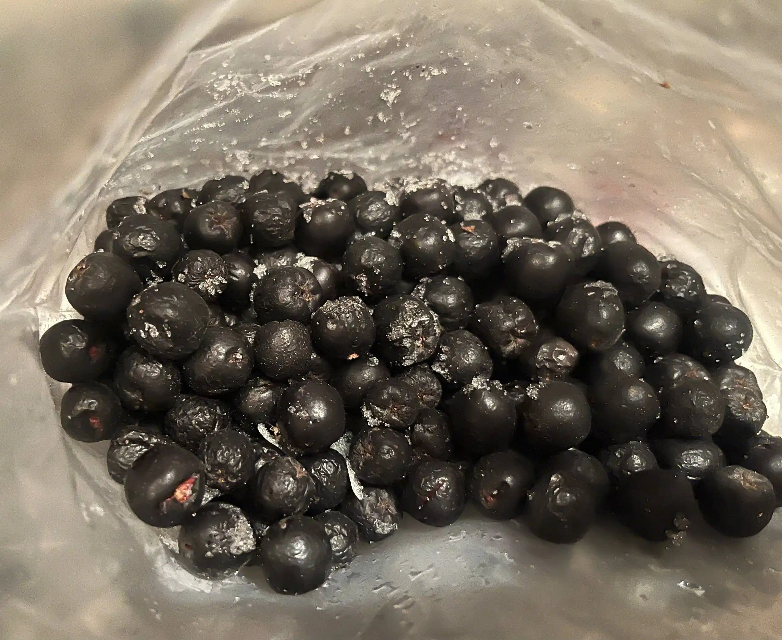 Черноплодная рябина - Барахолка в Балашиха