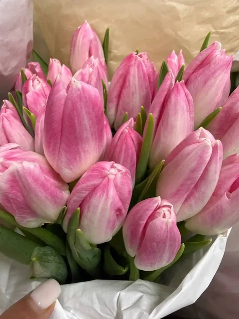 Тюльпаны в Балашихе - Цветы в Балашиха