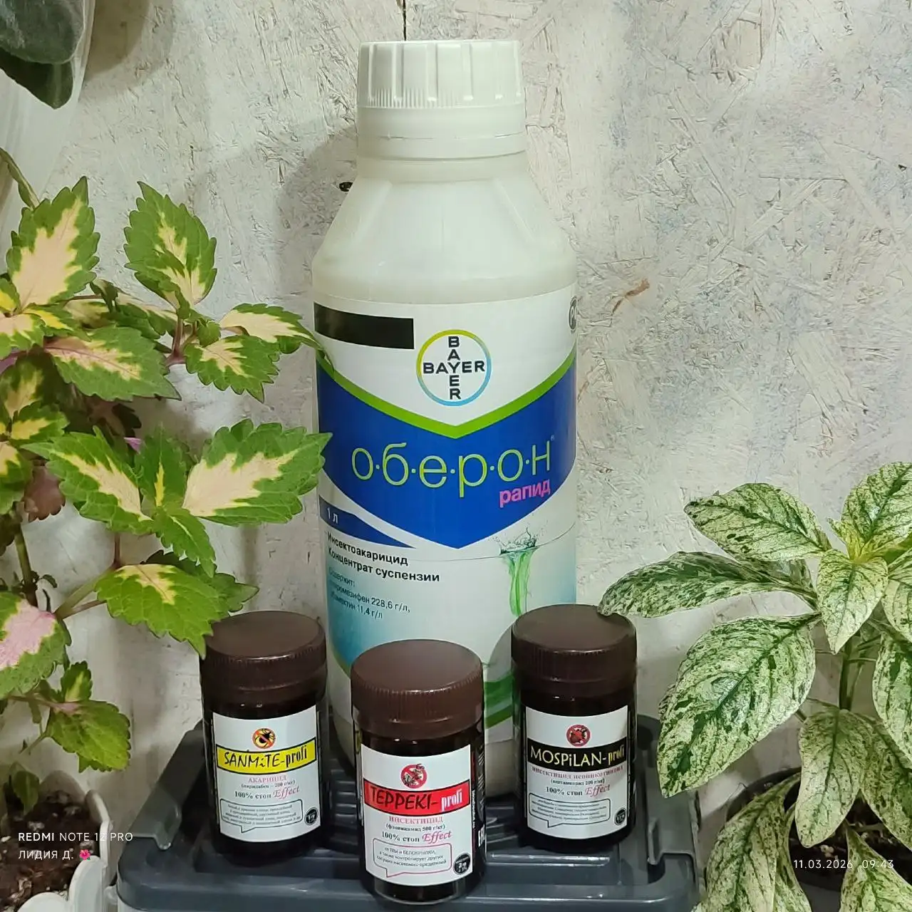 Продажа препаратов от насекомых-вредителей для растений - Для дома и дачи в Березовский