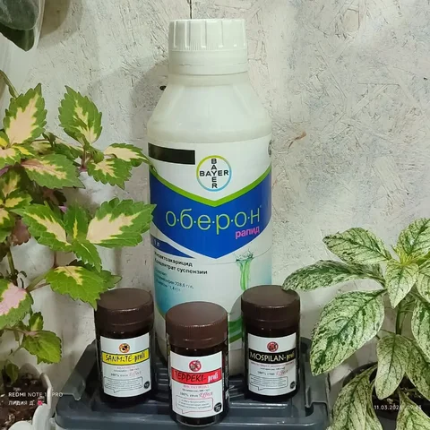 Продажа препаратов от насекомых-вредителей для растений - частное объявление в Березовский