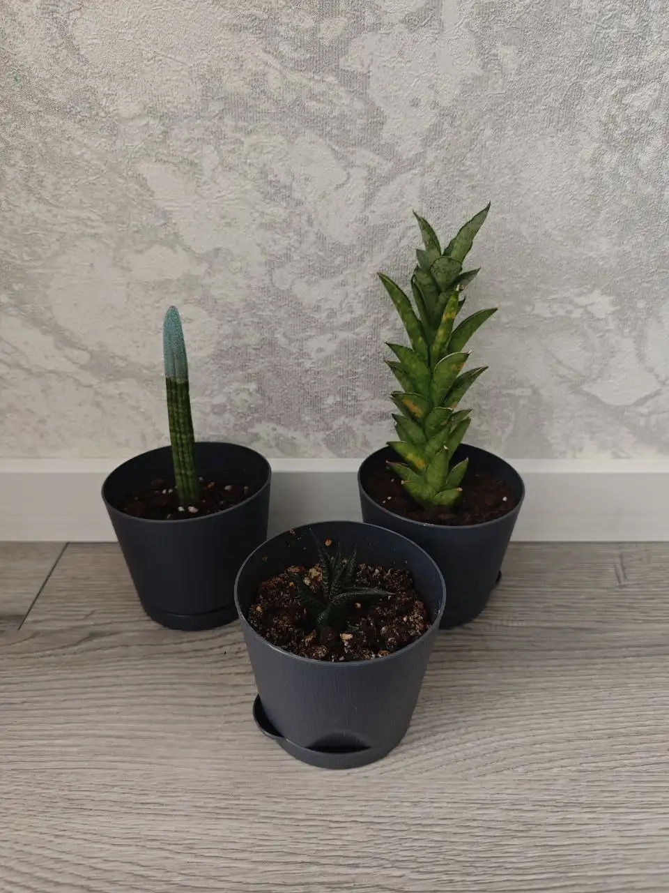 Продажа горшков в Москве - Для дома и дачи в Балашиха