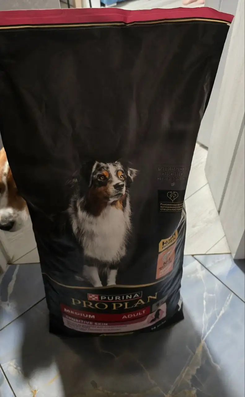 Продам корм для собак Pro plan Medium Adult с лососем - Корма для животных (Животные) в Балашиха