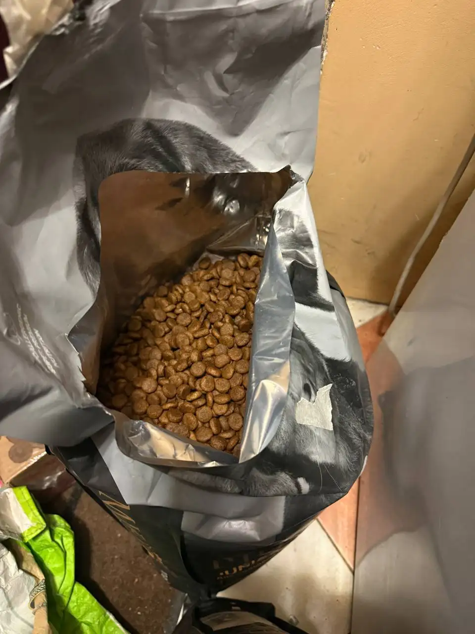 Продажа собачьего корма - Корм для животных (Животные) в Балашиха