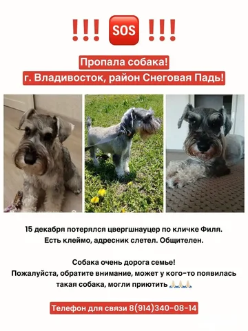 Продажа авто - Госномера в Владивосток