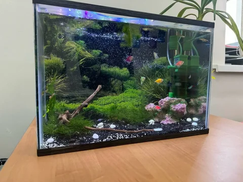 Продажа аквариума 30 литров с комплектом - Коньки в Владивосток