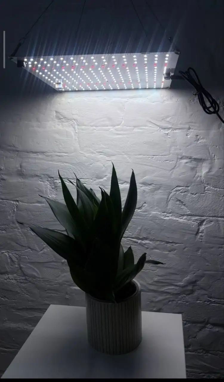 Светодиодный светильник QBD1500 MAX для выращивания растений - Светильники для растений (Барахолка) в Владивосток