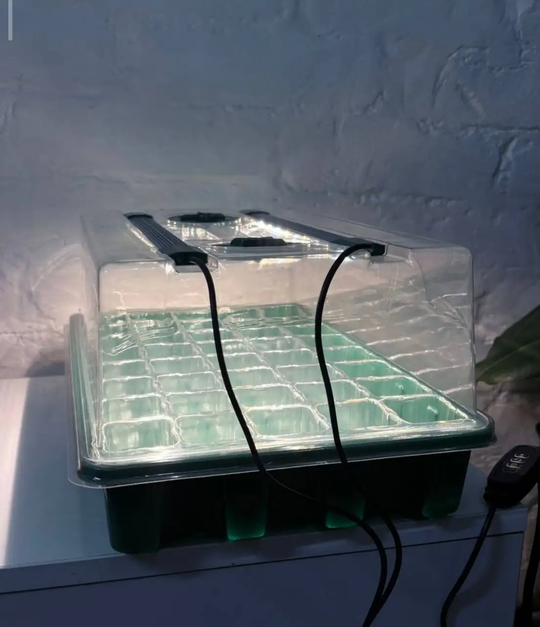 Мини парничек для проращивания с лампой - Садоводство (Хобби и отдых) в Владивосток