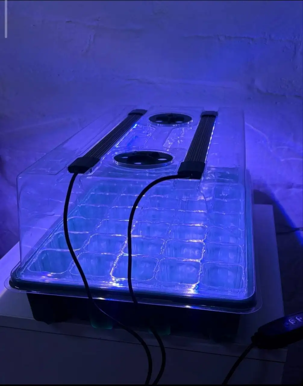 Мини парничек для проращивания с лампой - Садоводство (Хобби и отдых) в Владивосток