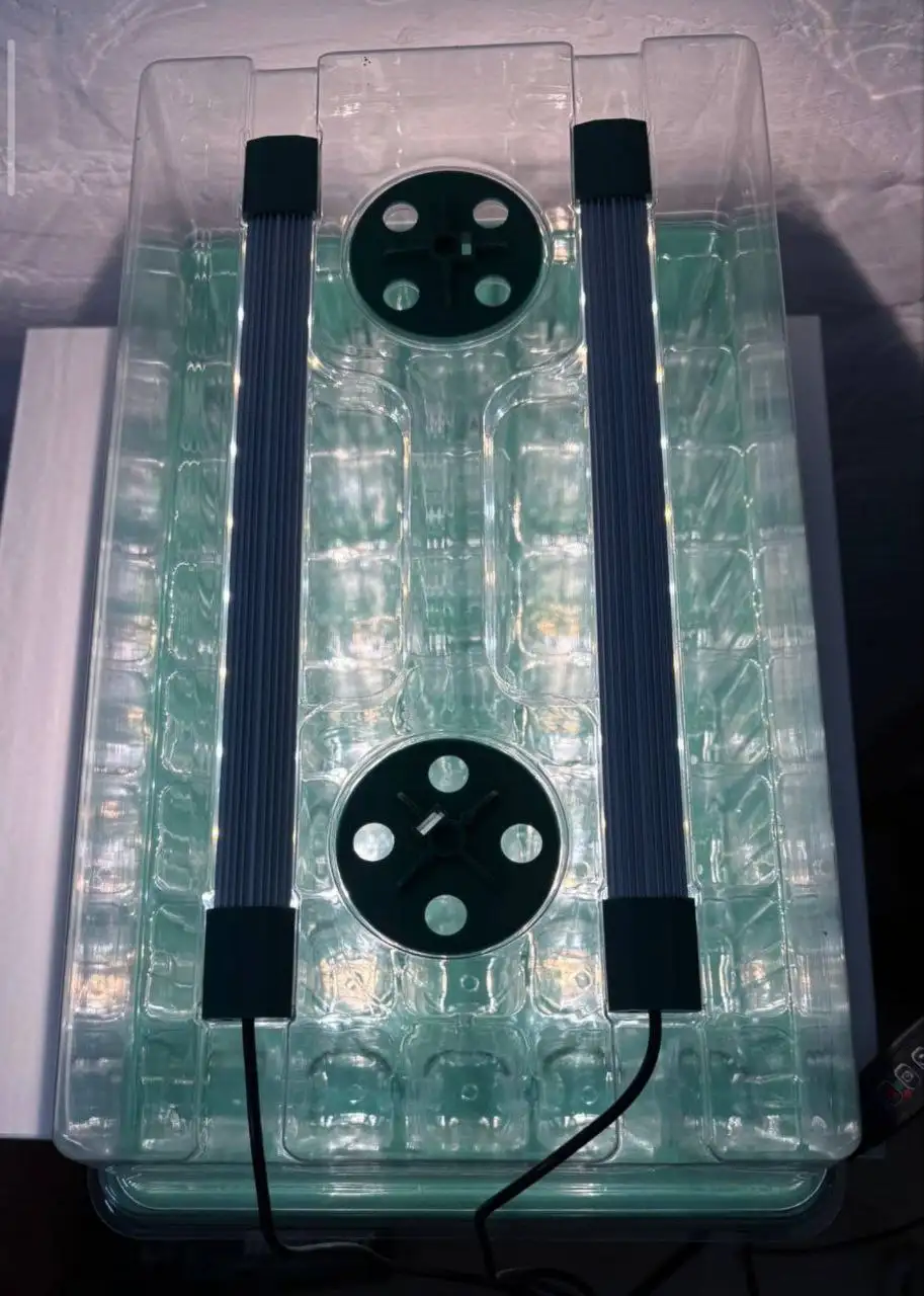 Мини парничек для проращивания с лампой - Садоводство (Хобби и отдых) в Владивосток