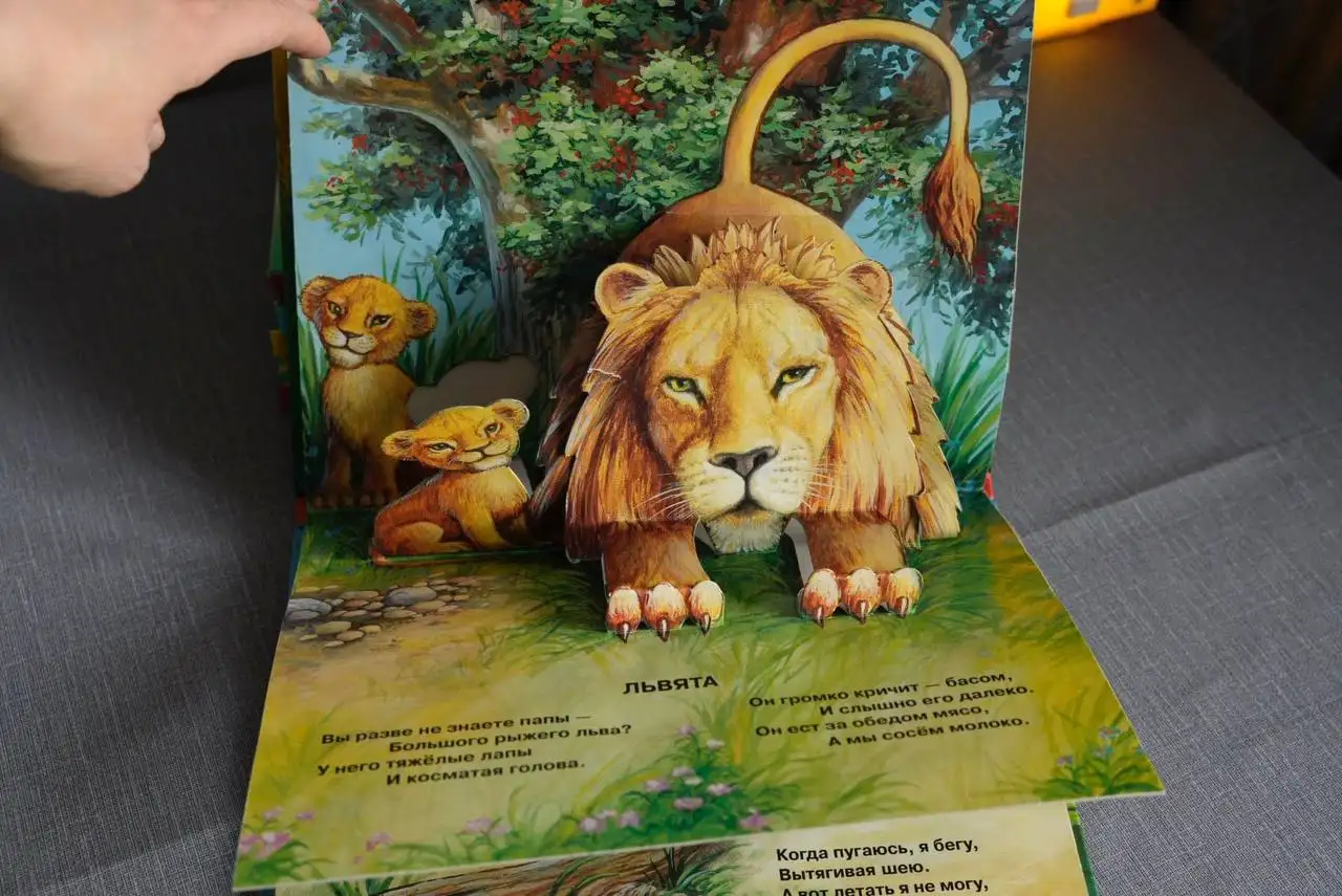 Коллекция книг панорам Росмэн (6 шт) 1998 года - Книги (Хобби и отдых) в Владивосток