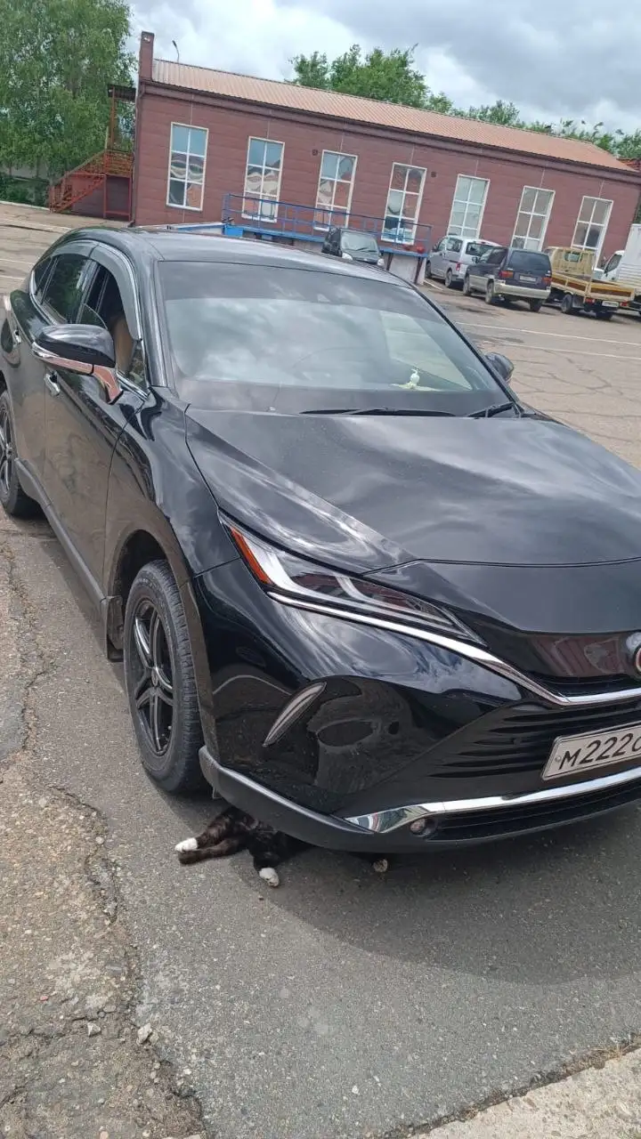 Автополировка любой сложности - Услуги (Авто) в Уссурийск