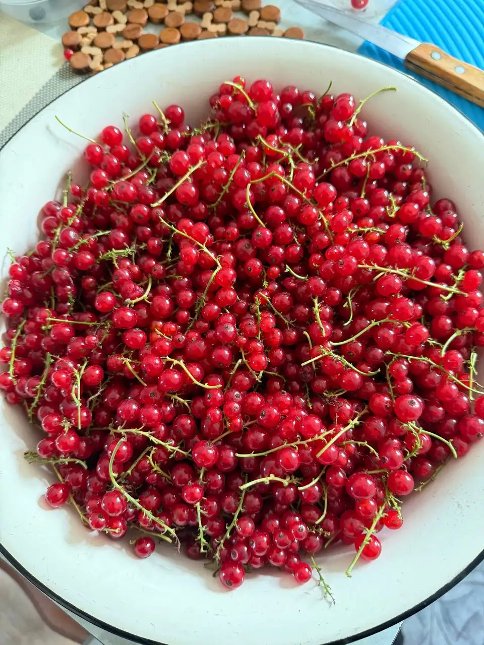 Продажа красной смородины - Фрукты и ягоды (Продукты питания) в Владивосток