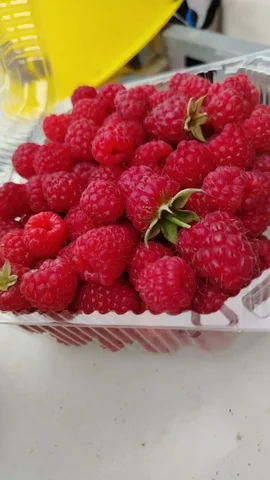 Продам свежую малину - частное объявление в Артем