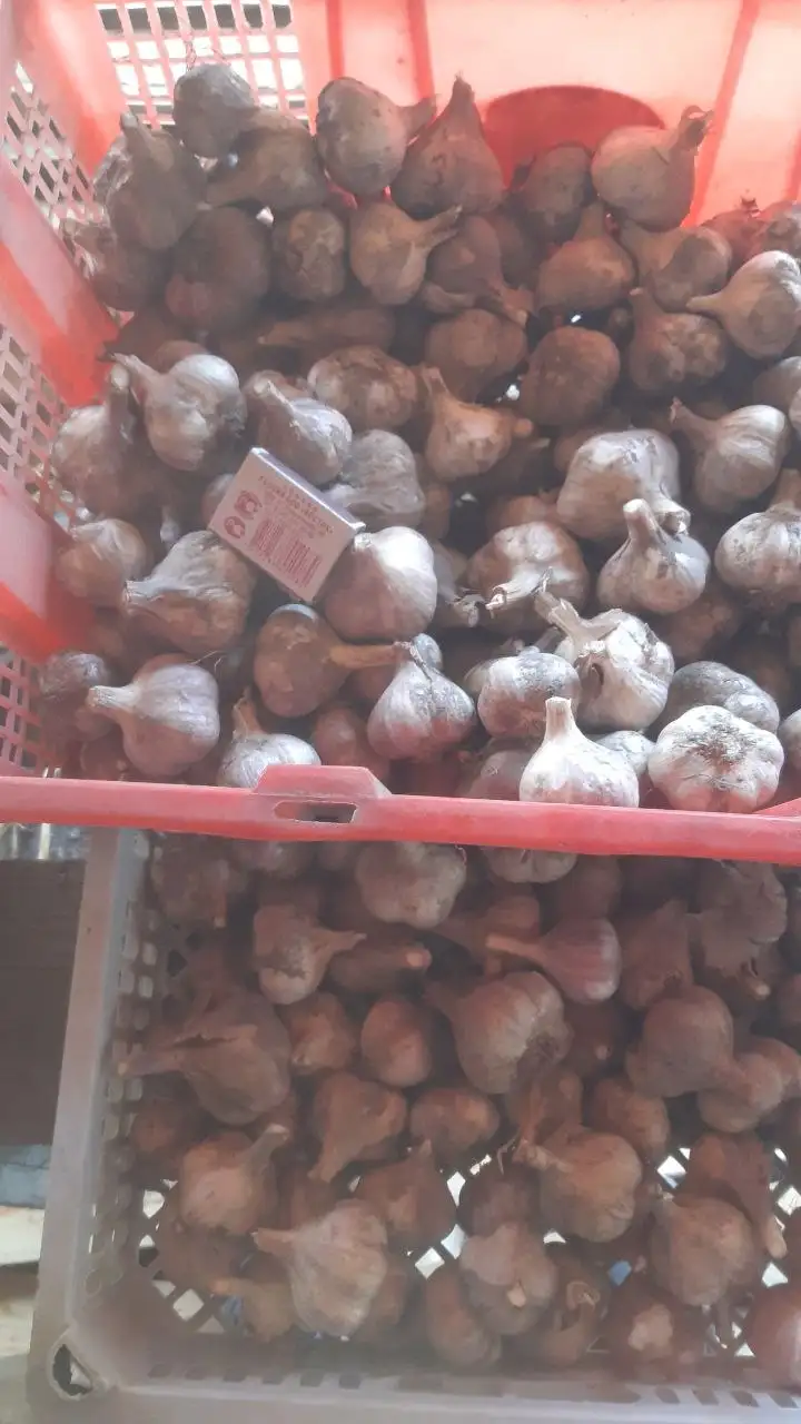 Продам чеснок зимний - Барахолка в Уссурийск