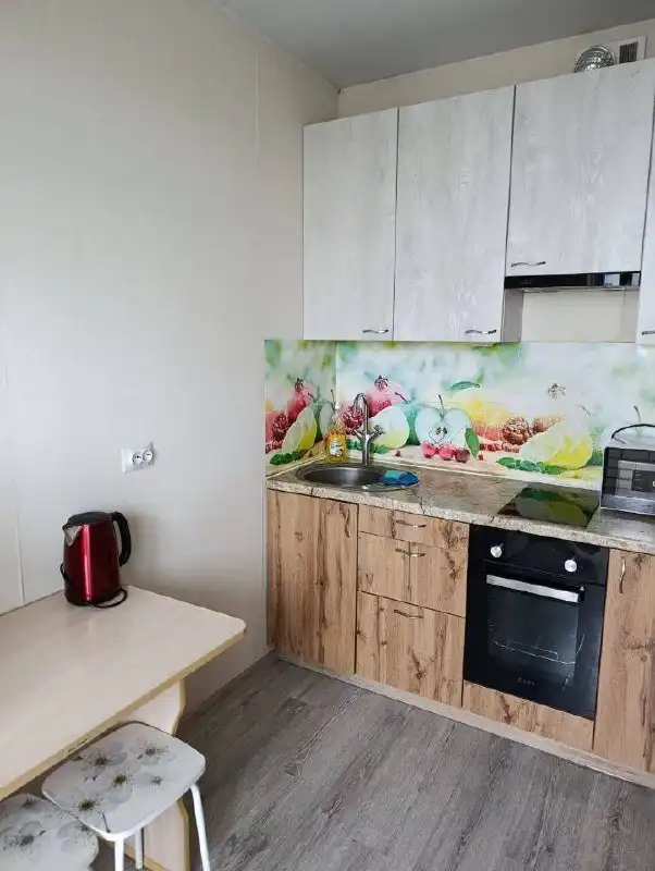 Студия 20 м² с видом на город на 10 этаже, Ботаническая 1к1