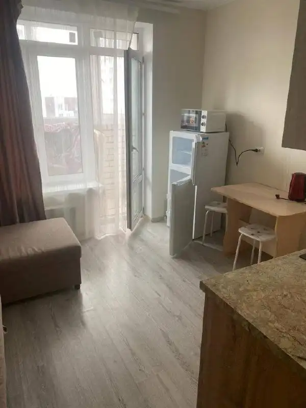 Студия 20 м² с видом на город на 10 этаже, Ботаническая 1к1