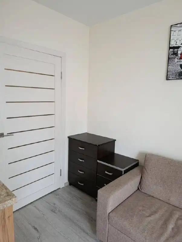 Студия 20 м² с видом на город на 10 этаже, Ботаническая 1к1