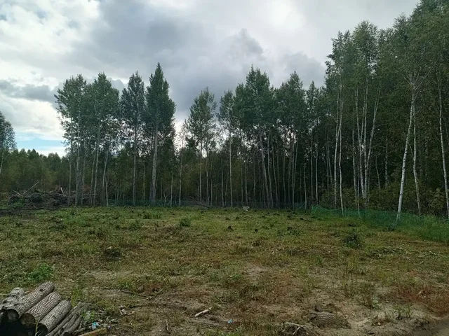 Продажа земельного участка 10 соток в ТСН "Строитель" - частное объявление в Нижнетавдинский район