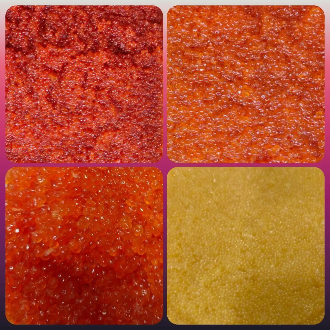 Морепродукты и мясо высшего качества с доставкой