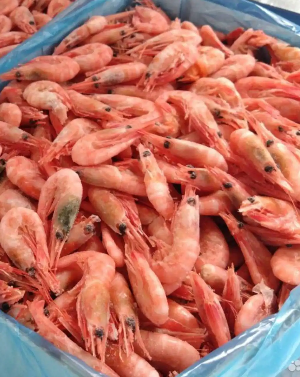 Вкусные полуфабрикаты и домашняя выпечка