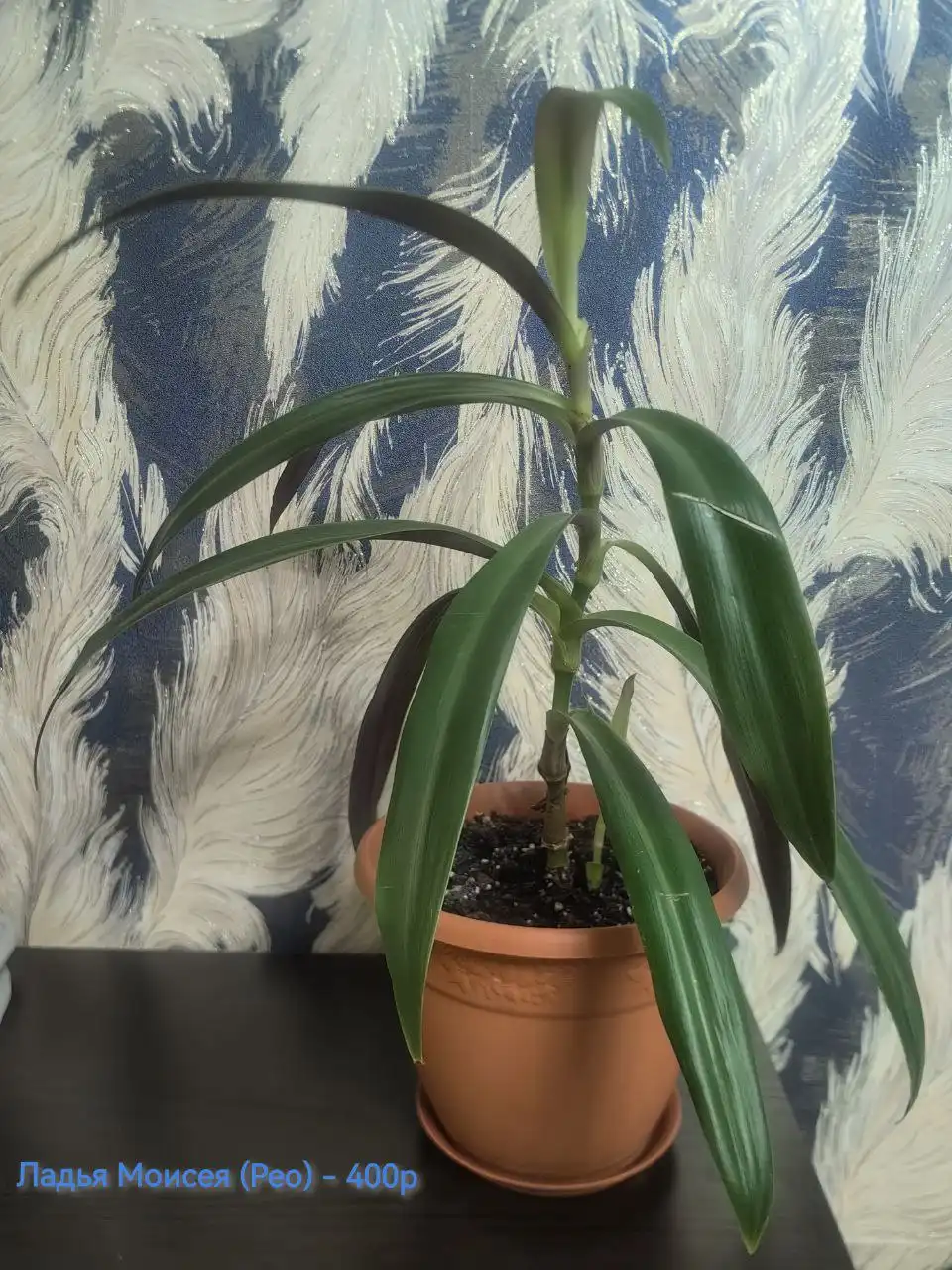 Детская шапка, носки, варежки, платье и вазы