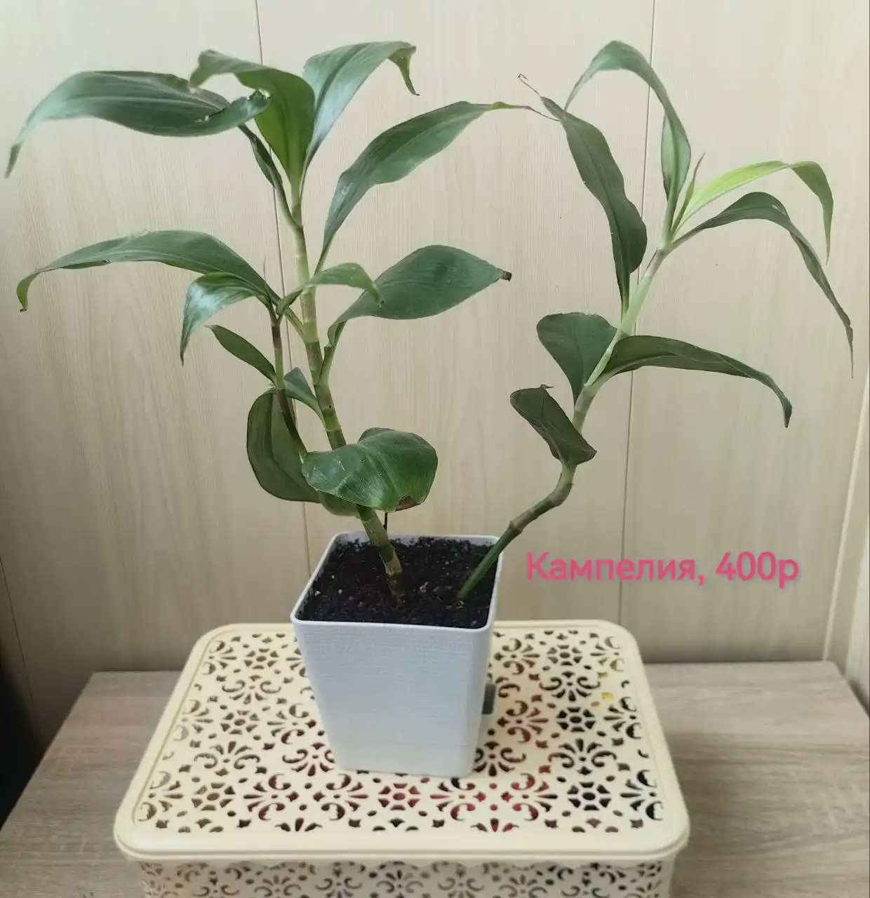 Детская шапка, носки, варежки, платье и вазы