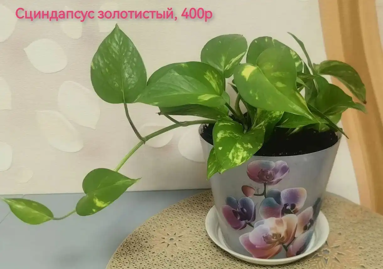 Детская шапка, носки, варежки, платье и вазы