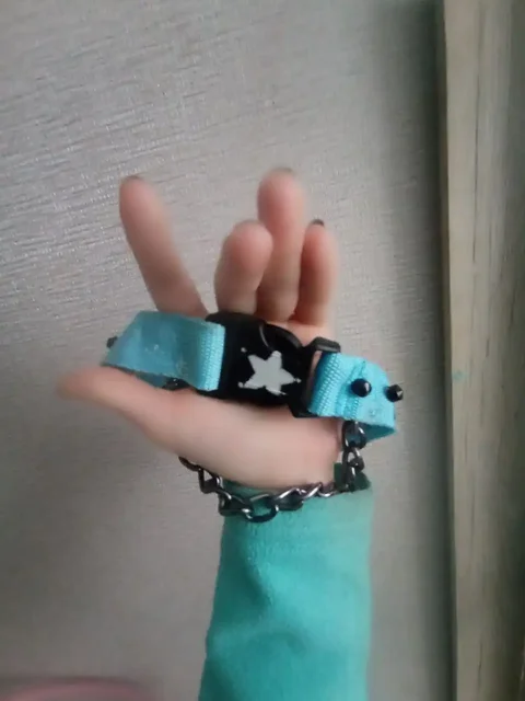 Вещи для собак: ошейники и рулетки - частное объявление в Подольск