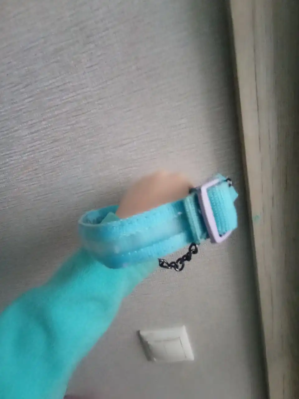 Вещи для собак: ошейники и рулетки - Товары для животных (Животные) в Подольск